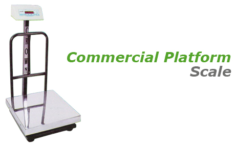 Commercial Platform Scale